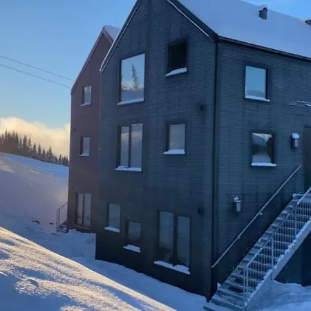 Daire New In-out With Sauna In Hafjell Øyer