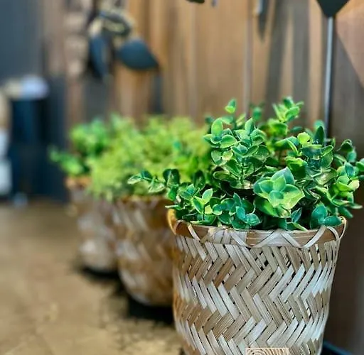 New In-out With Sauna In Hafjell Leilighet